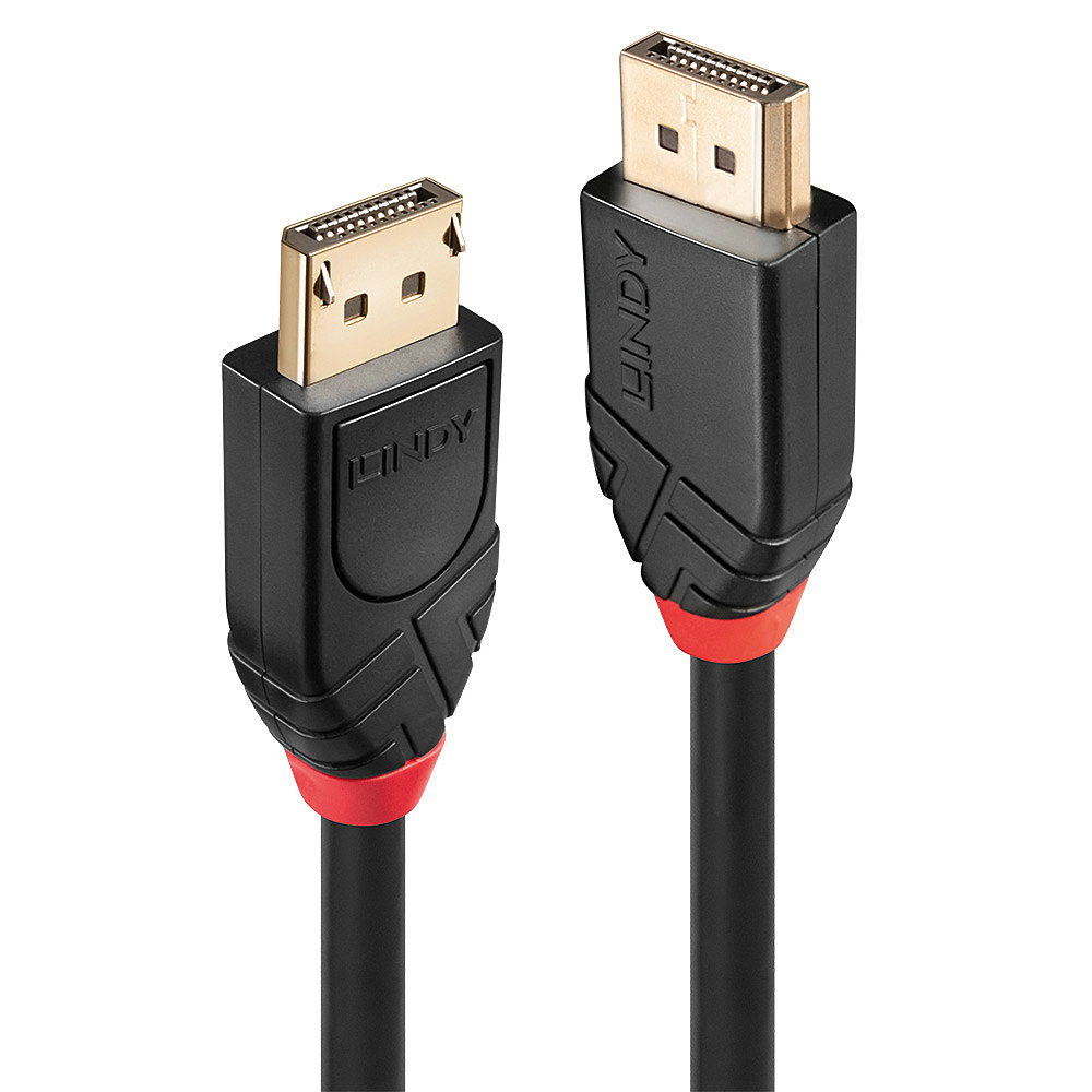 Lindy DisplayPort-Kabel - DisplayPort (M), Ansicht 2