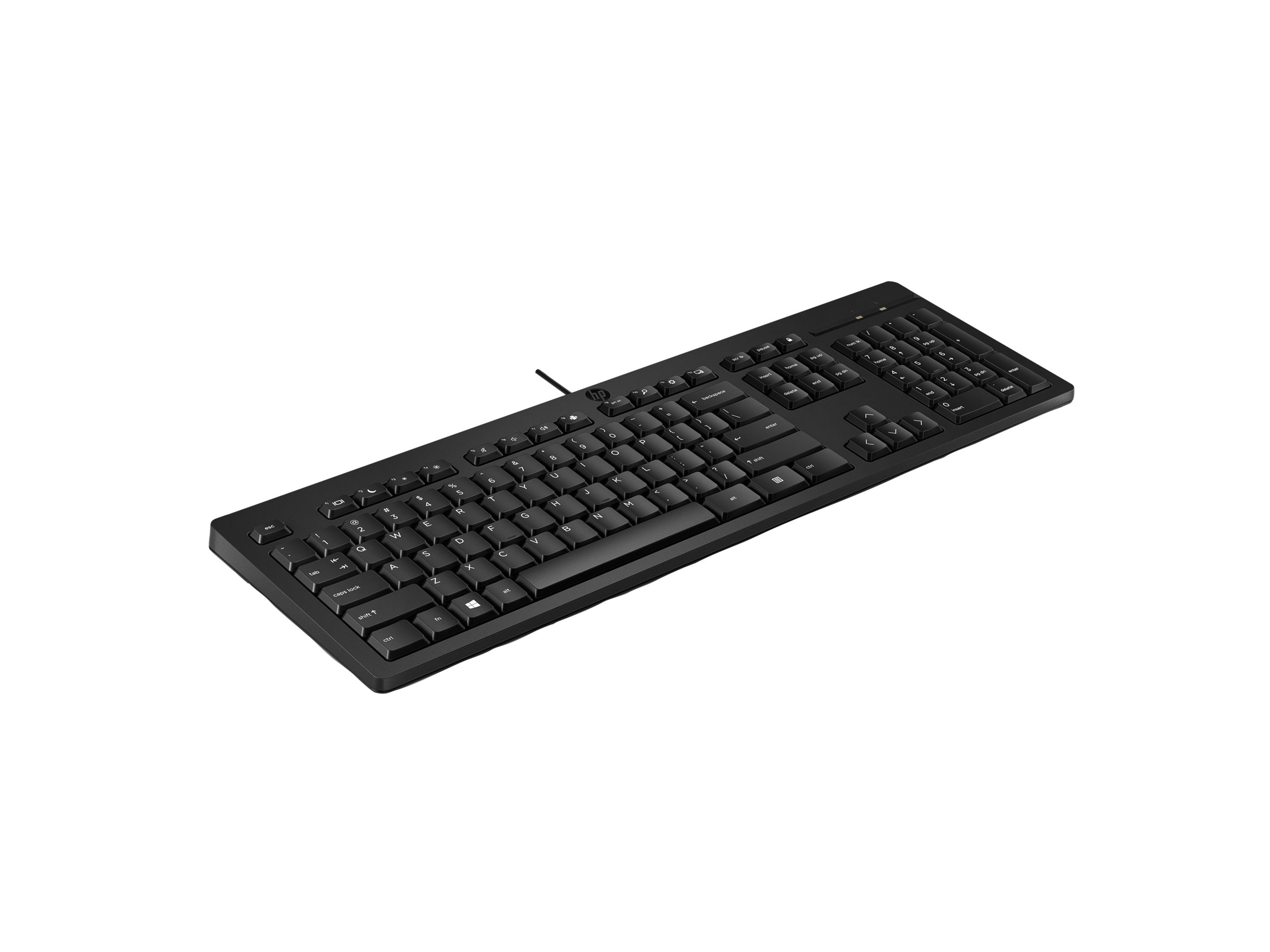 HP 125 - Tastatur - USB - für HP 295 G8 - TL: Spanisch, QWERTY, Ansicht 5