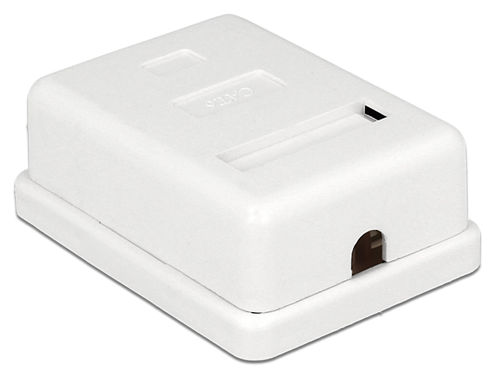 Delock Wanddose - RJ-45 - weiß, Ansicht 2
