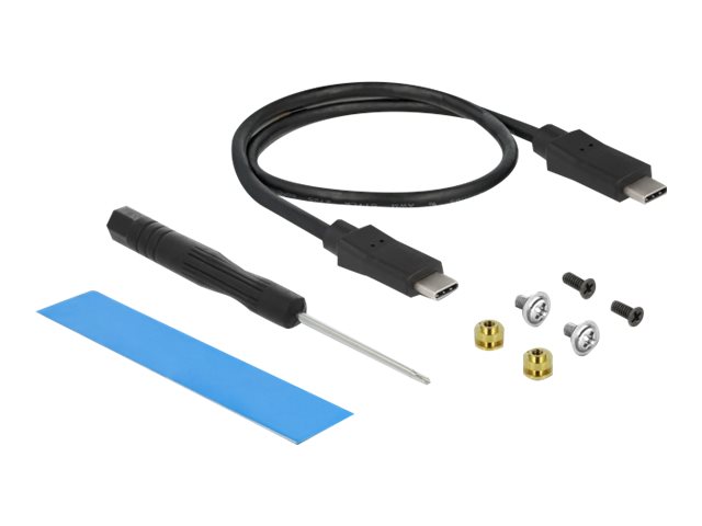 Delock Speichergehäuse - M.2 - M.2 NVMe Card  SATA 6Gbs - USB 3.2 (Gen 2)