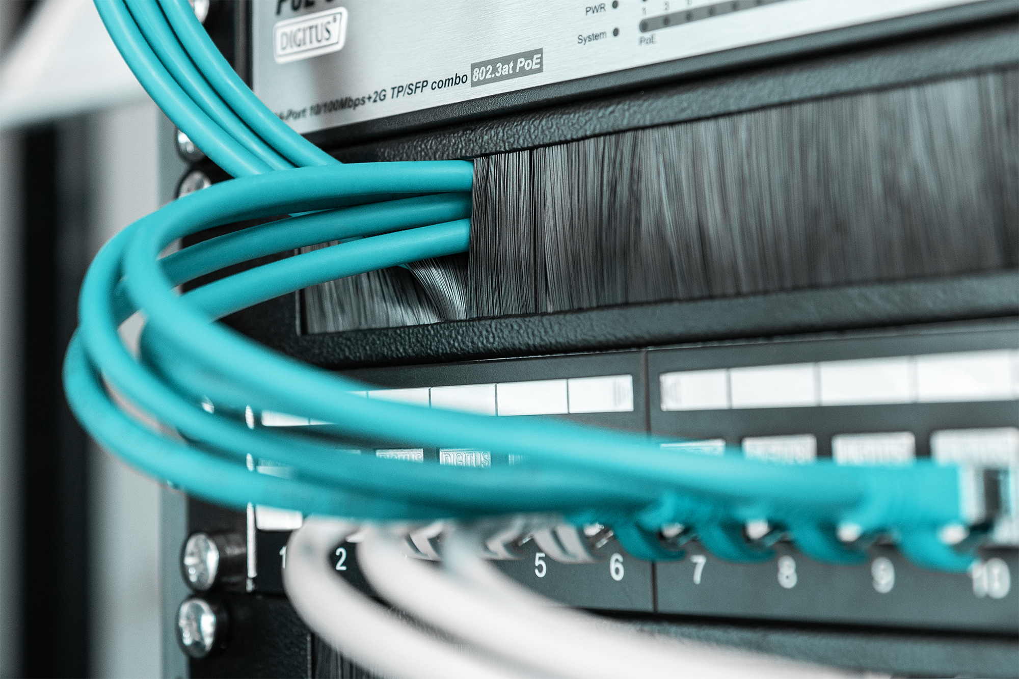 DIGITUS Kabelbürstenleiste für 483 mm (19)-Schränke, Ansicht 2