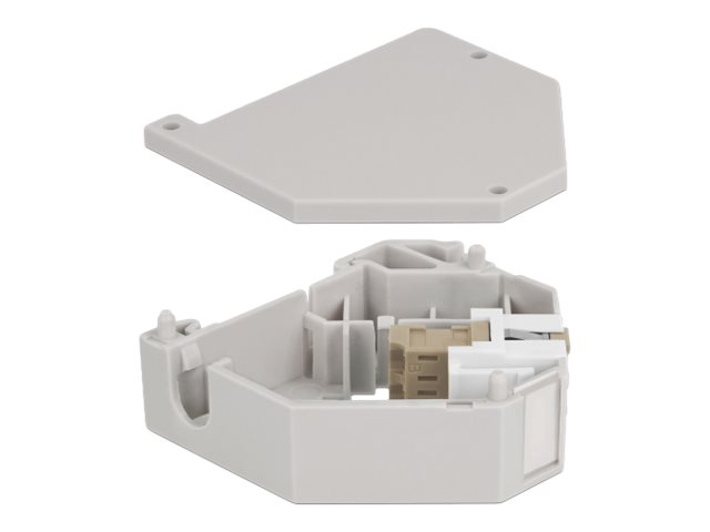 Delock Keystone Jack-DIN-Adapter für Schienenmontage