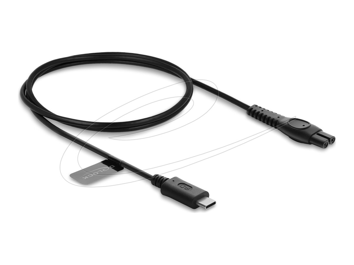 Delock Stromkabel - USB-C (M) zu 2-polig (M)