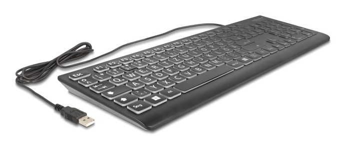Delock USB Tastatur kabelgebunden 1.5 m schwarz mit XXL Buchstaben und - TL: Deutsch, QWERTZ, Ansicht 3