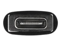 Delock USB-Adapter - USB (M) zu 24 pin USB-C (W)