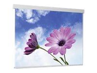 Medium Roll-Screen Electric Exclusiv Pro - Leinwand - motorisiert - 282 cm (111)
