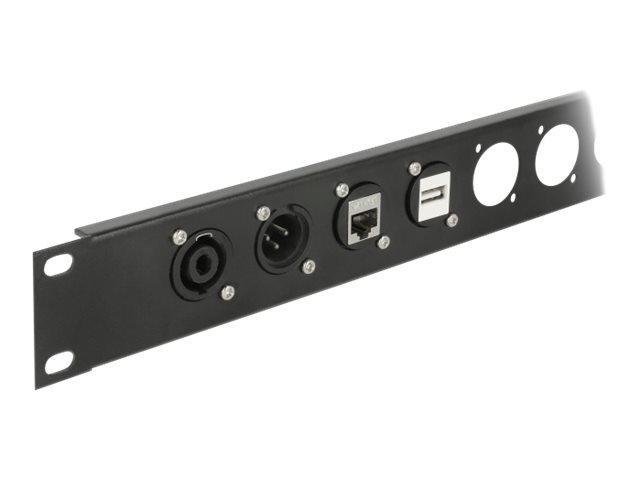 Delock D-Type Module USB 2.0 Type-A female to terminal block