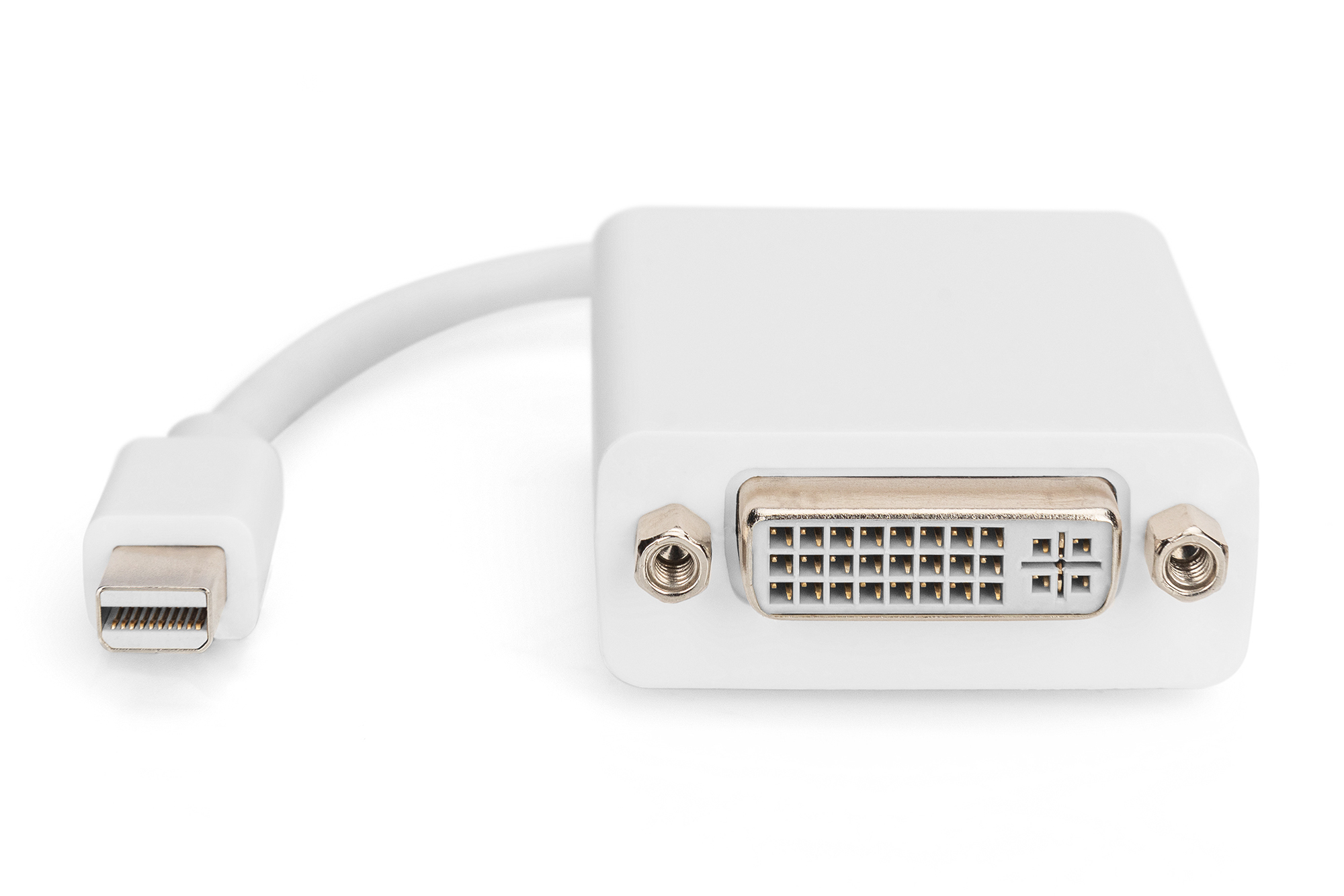 Assmann DisplayPort Adapter / Konverter, Ansicht 2