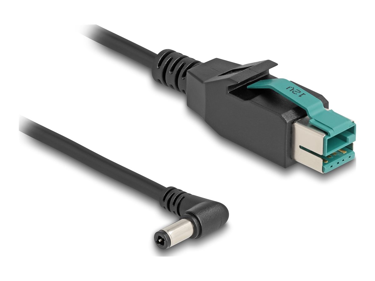 Delock Powered USB-Kabel - USB PlusPower (12 V)