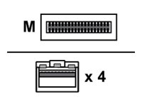 Lenovo Breakout - 100GBase-CU Kabel zur direkten Befestigung - QSFP28 zu SFP28 - 3 m - für ThinkSystem NE10032, NE2572, NE2580O; ThinkSystem SD630 V2; SR250