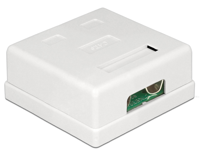 Delock Modular Wall - Wanddose - RJ-45 X 2, Ansicht 2