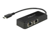 Delock Adapter USB-C 3.1 Gen 1 > 2 x Gigabit LAN 10/100/1000 Mb/s