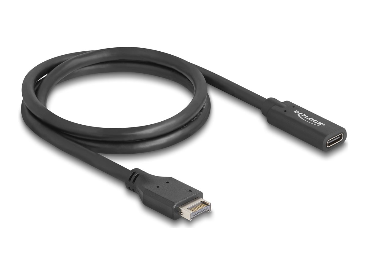Delock USB-Kabel - 20-poliger USB Typ E (M)