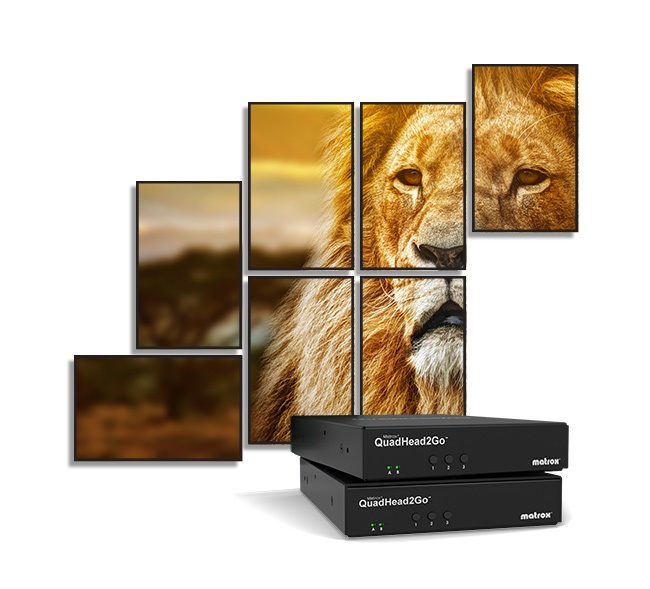 Matrox QuadHead2Go Q155 - Videowand-Controller, Ansicht 4