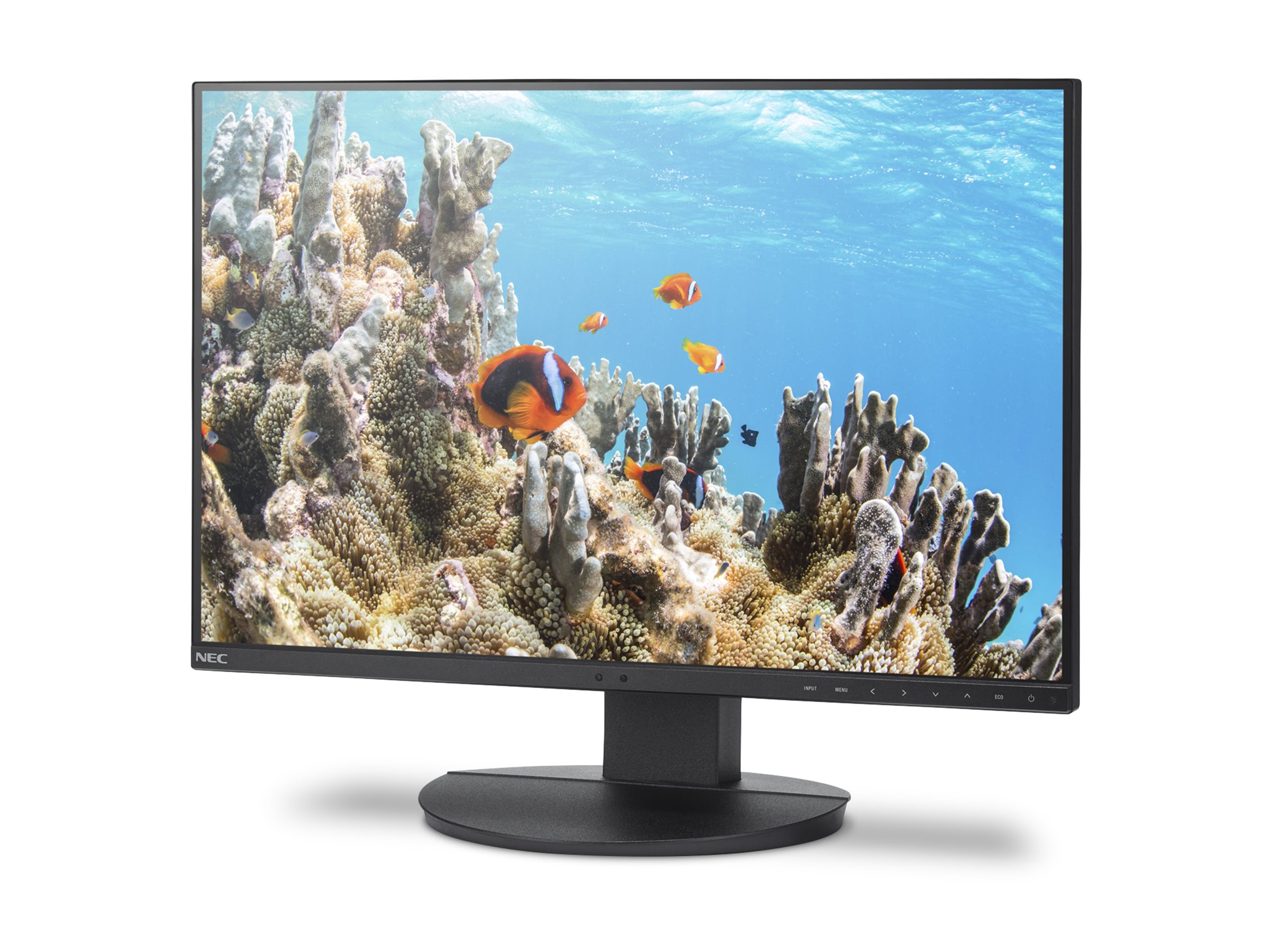 Sharp MultiSync EA242W - 24 - Flachbildschirm (TFT/LCD) - 61 cm, Ansicht 4