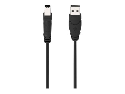 Belkin 6ft USB A/B Device Cable - USB-Kabel - USB (M) zu USB Typ B (M) - USB 2.0 - 1.8 m - geformt