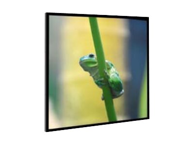 Medium Frame Exlusiv - Leinwand - geeignet für Wandmontage - 470 cm (185)