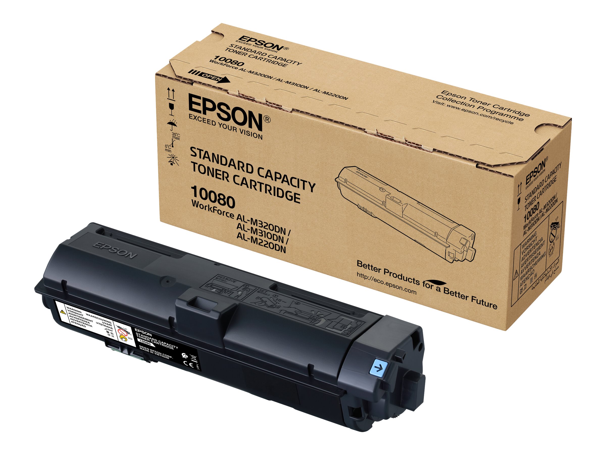 Epson S110080 - Schwarz - Original (C13S110080)