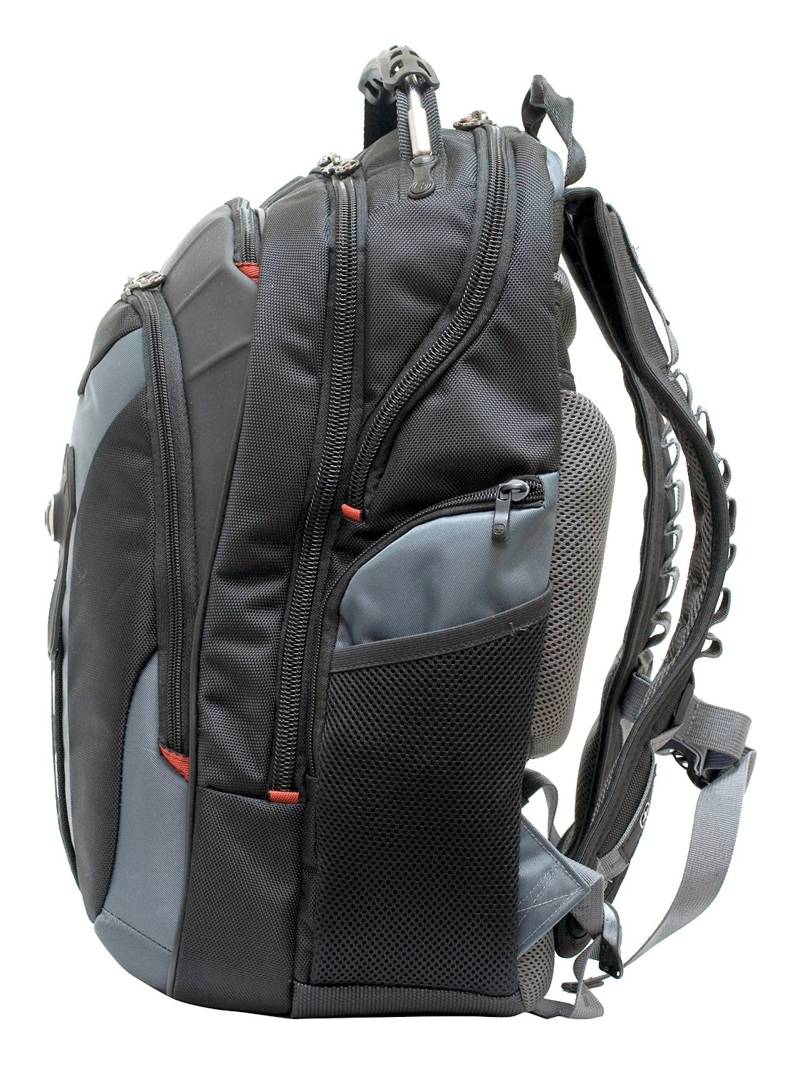 Wenger Pegasus - Notebook-Rucksack - 43 cm (17), Ansicht 3