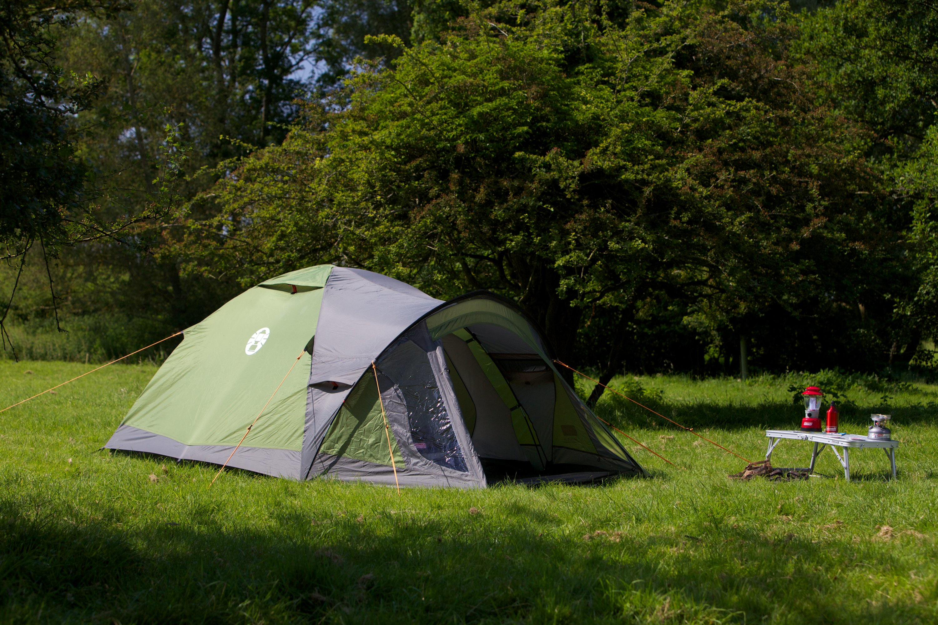 Coleman Darwin 4 Plus - Camping - Festrahmen - Kuppel-/Iglu-Zelt - 4 Person(en) - 7,8 m² - 6,2 kg, Ansicht 3