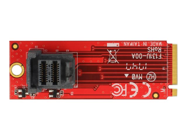 Delock Adapter M.2 Key M > SFF-8643 NVMe vertical - Schnittstellenadapter - 2.5 (6.4 cm)