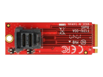 Delock Adapter M.2 Key M > SFF-8643 NVMe vertical - Schnittstellenadapter - 2.5 (6.4 cm)