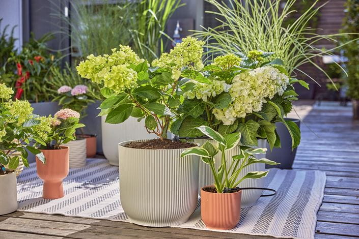 Gardena Micro-Drip-Irrigation Terrace - Micro-Drip-System, Ansicht 3