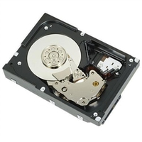 Dell - Kunden-Kit - Festplatte - 1 TB - 3.5" (8.9 cm) - SATA 6Gb/s
