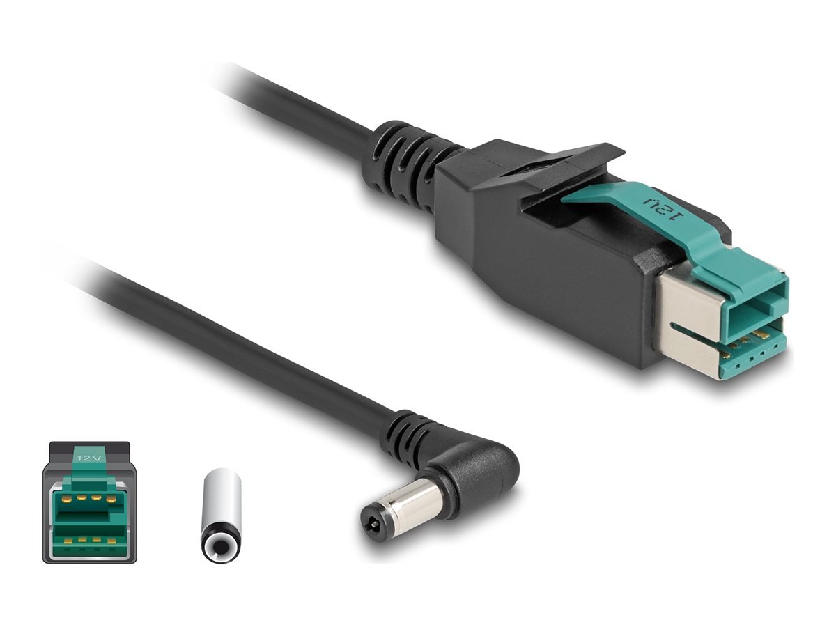 Delock Powered USB-Kabel - USB PlusPower (12 V)