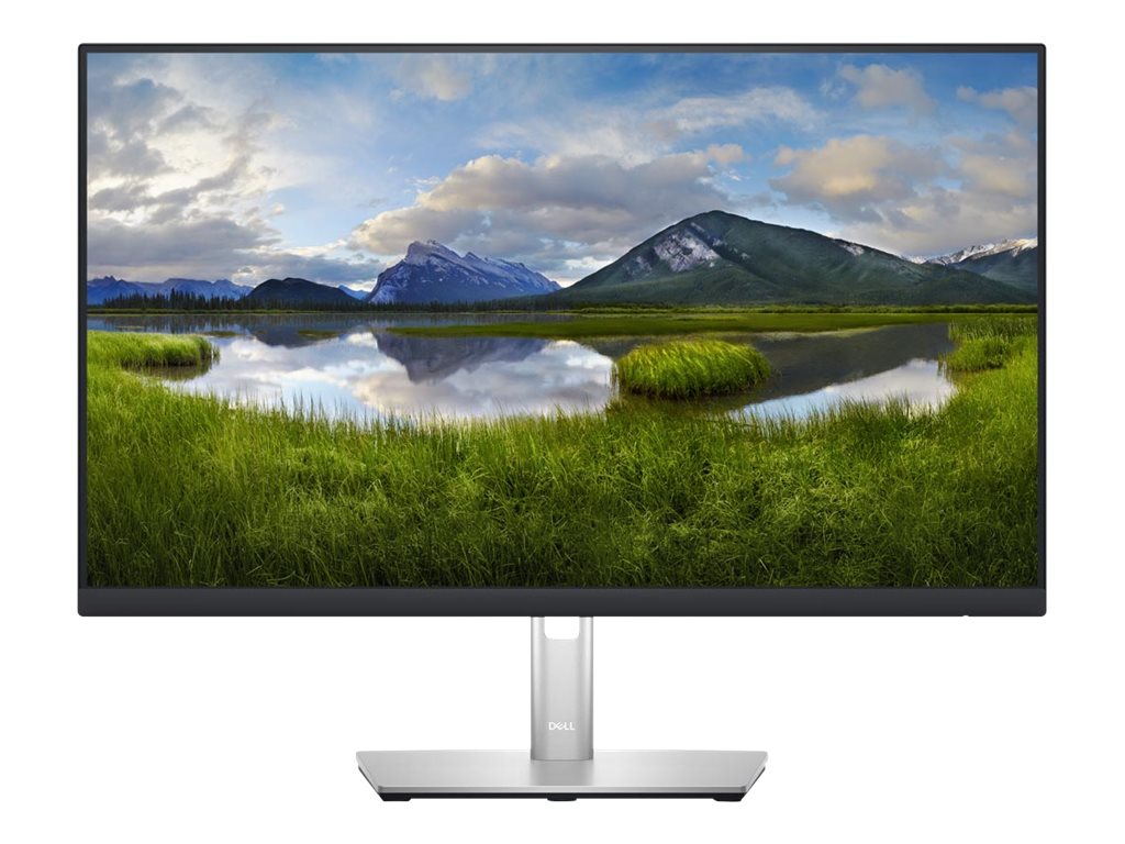 Dell P2423DE - LED-Monitor - 61 cm (24") (23.8" sichtbar)