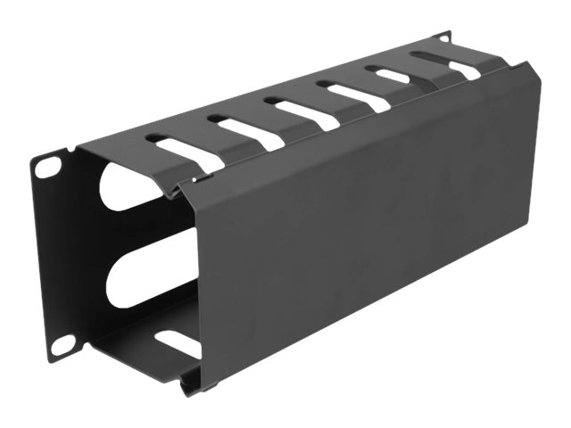 Delock Verlegetafel für Rack-Kabelmanagement - mit 2 Öffnungen - Schwarz - 1U - 25.4 cm (10)