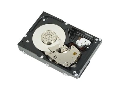 Dell  Festplatte - 1.2 TB - Hot-Swap - 2.5 (6.4 cm)