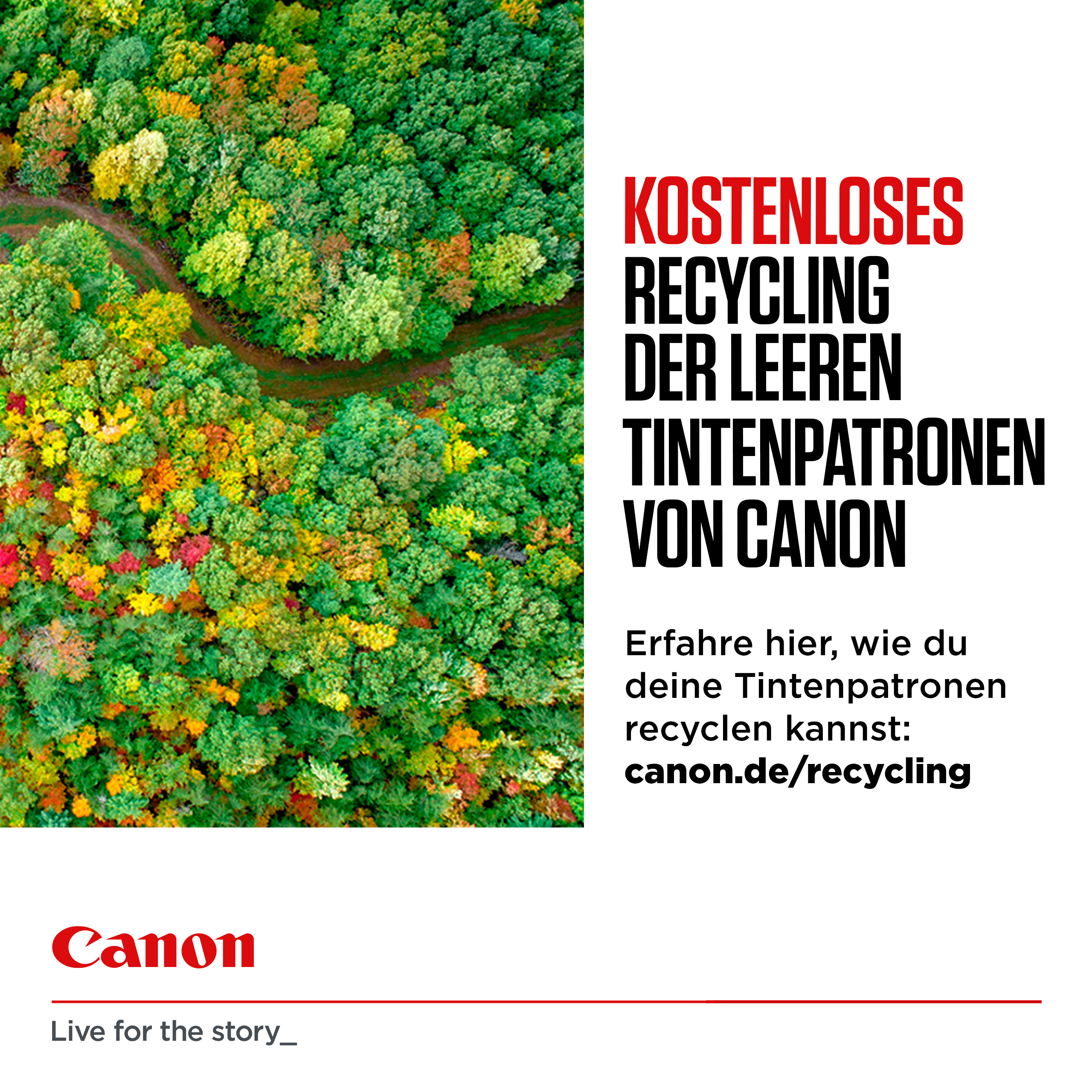 Canon CLI-571 Ink Cartridge C/M/Y/BK - Tintenpatrone, Ansicht 3