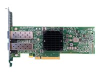 Fujitsu PLAN EP P210P - Netzwerkadapter - PCIe 3.0