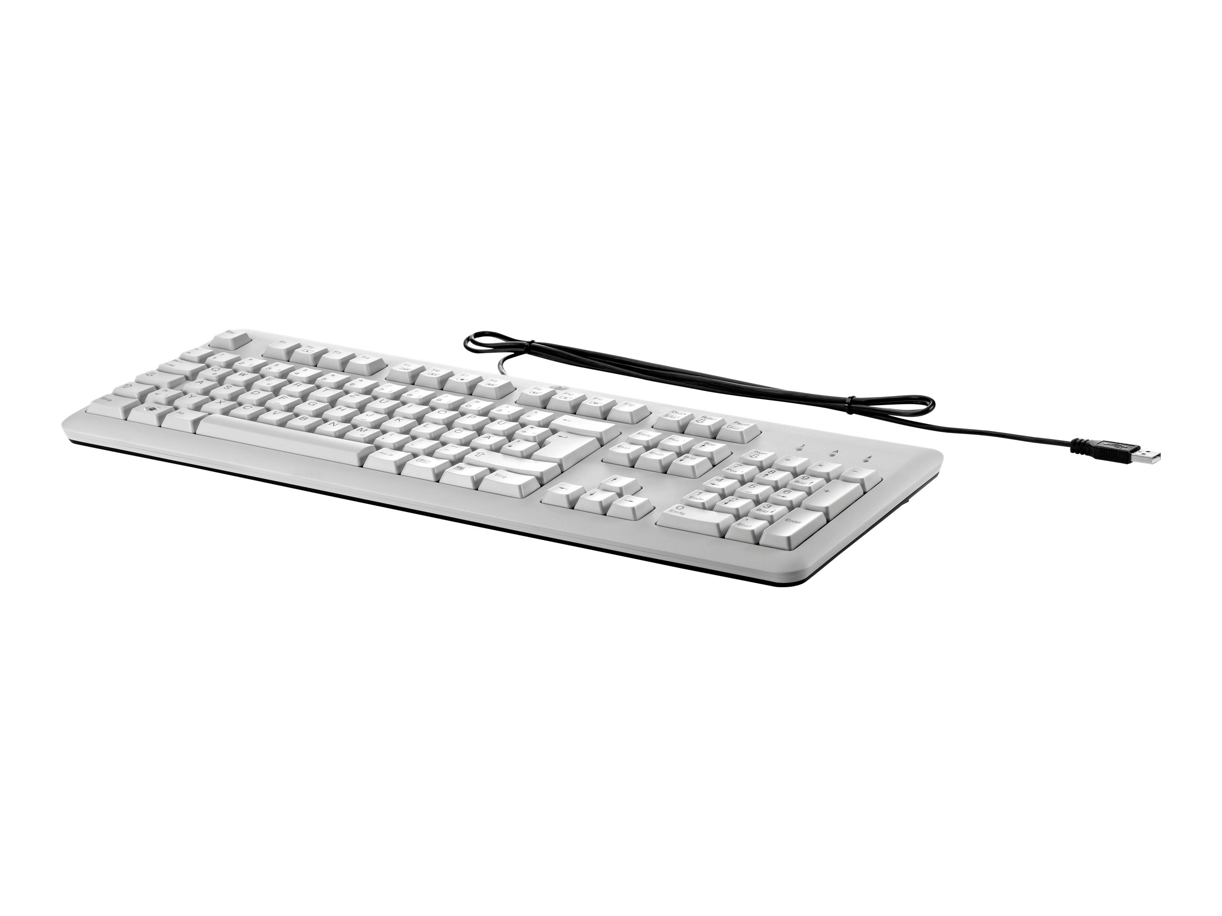 HP  Tastatur - USB - Grau