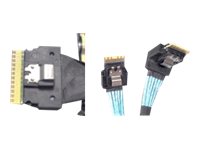 Intel Speicherkabelkit - Slim SAS (SFF-8654) zu 2x4 Slim SAS (SFF-8654)