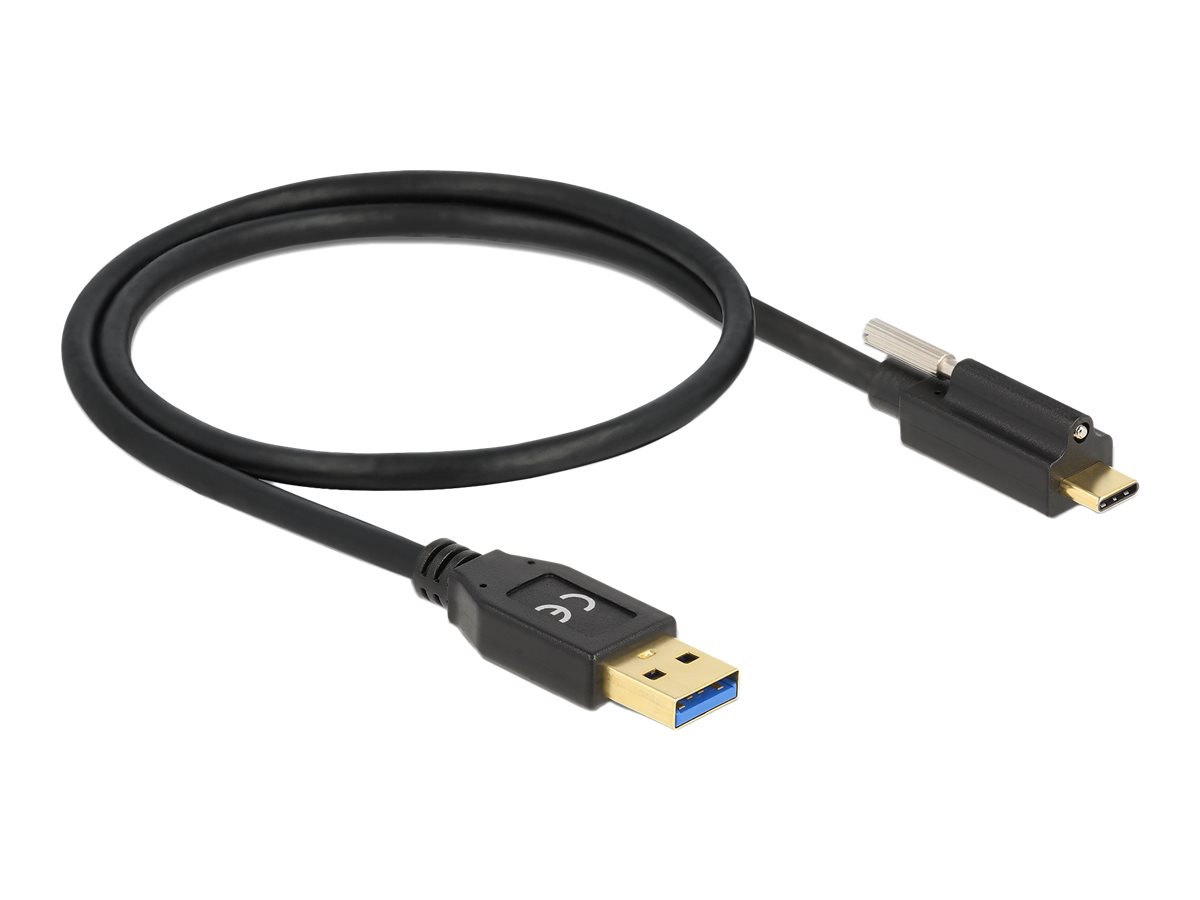 Delock USB-Kabel - USB Typ A (M) zu 24 pin USB-C (M)