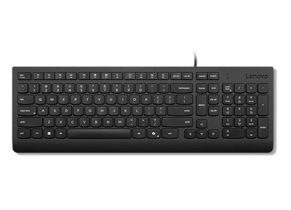 Lenovo Essential - Tastatur - USB - TL: Nordisch, QWERTY, Ansicht 3