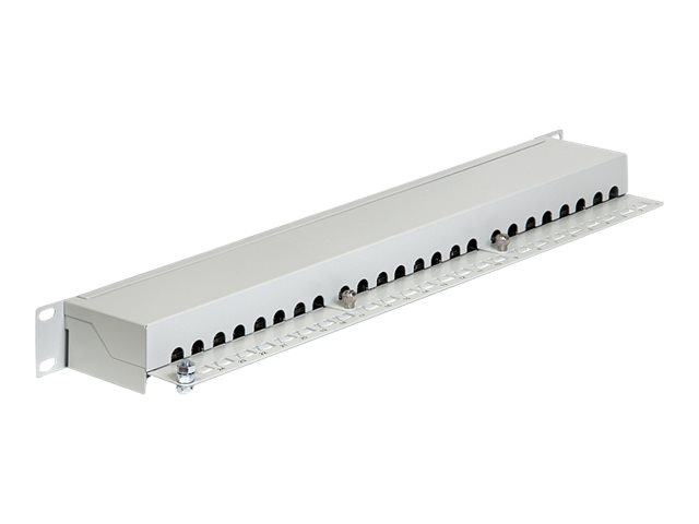 Delock Patch Panel - RJ-45 X 24 - Hellgrau - 1U - 48.3 cm 19" (43300)