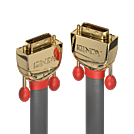 Lindy Gold - DVI-Kabel - Dual Link - DVI-D (M)