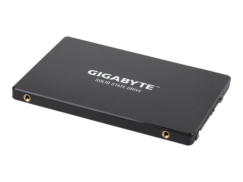 GIGABYTE 120GB 6,35cm SSD SATA3 (GP-GSTFS31120GNTD)