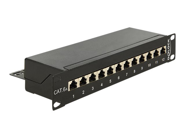 Delock Patch Panel - RJ-45 X 12 - Jet Black, RAL 9005 - 1U - 25.4 cm 10" (43310)