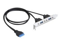 USB 3.0 19-pin - 2 x USB 3.0-A USB Kabel 0,4 m USB A Schwarz