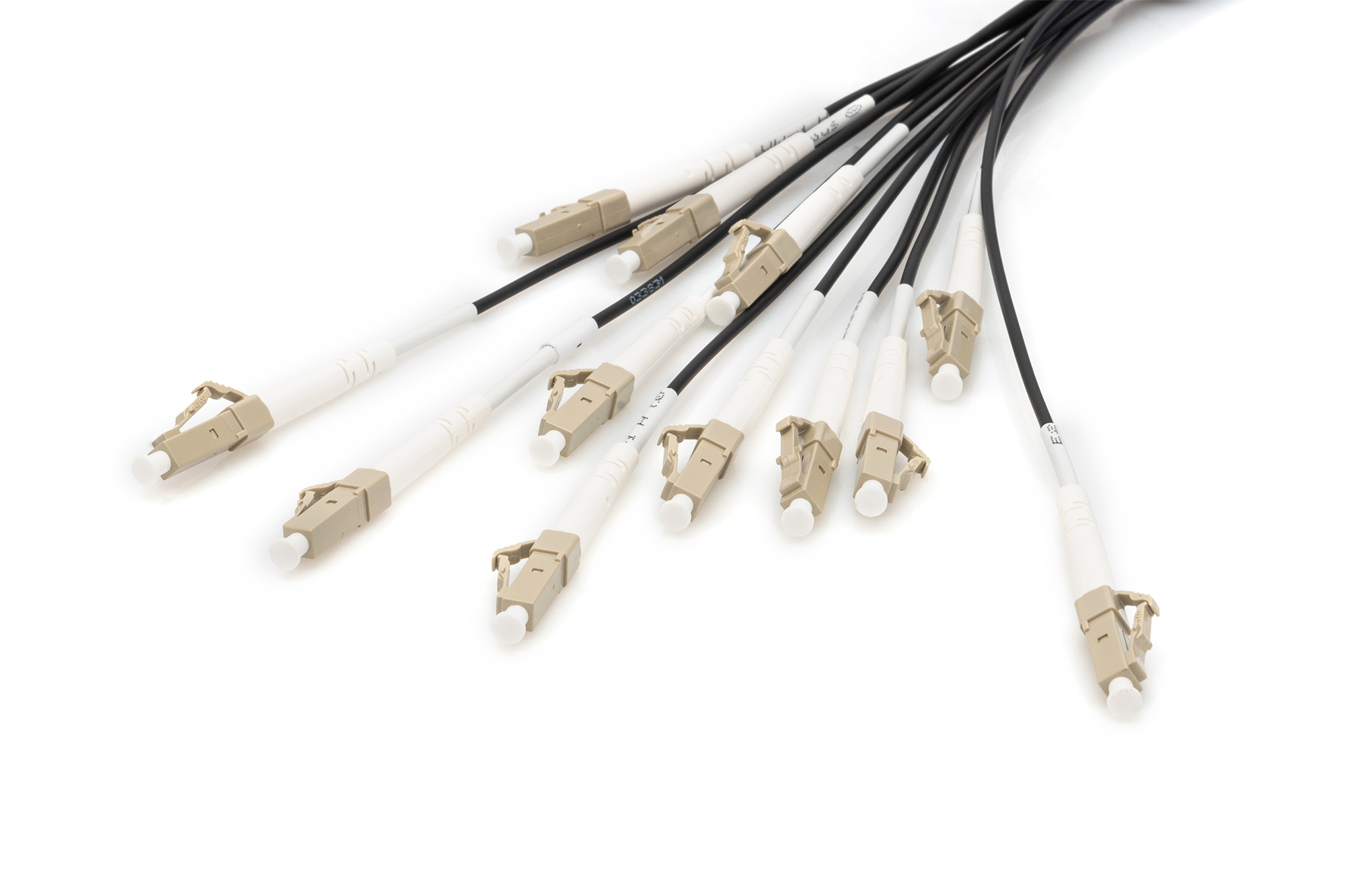 DIGITUS Vorkonfektionierte Glasfaser Universal Breakout Kabel, Multimode OM4, 12 Fasern, LC/UPC - LC/UPC, Ansicht 2