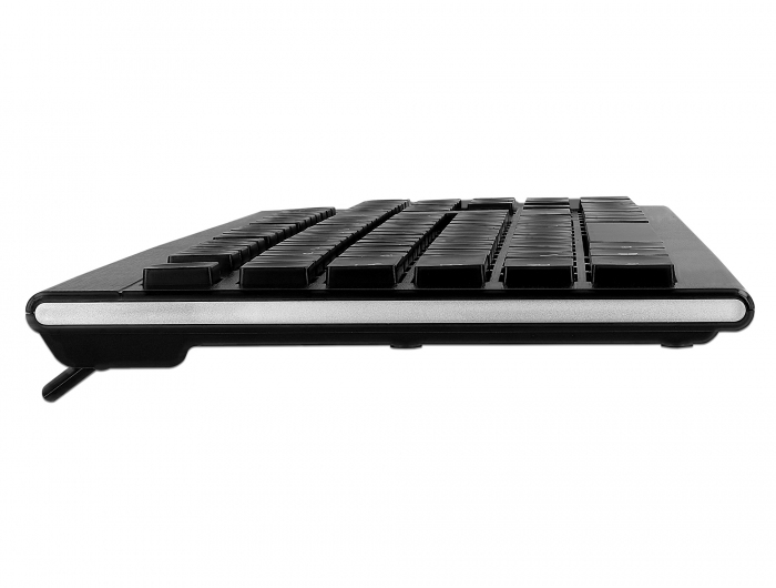Delock Tastatur - USB - Schwarz - TL: Deutsch, QWERTZ, Ansicht 2