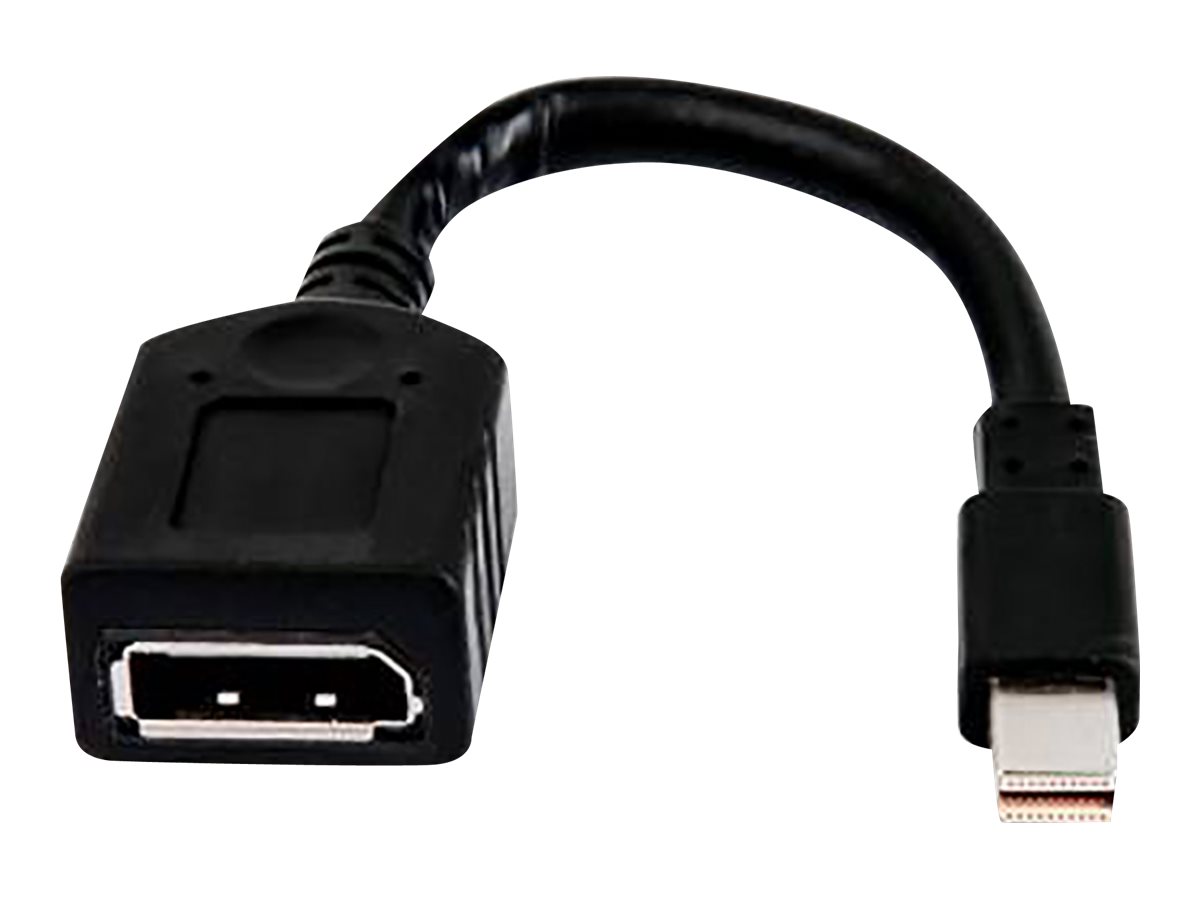 HP - DisplayPort-Kabel - Mini DisplayPort (M) zu DisplayPort (W) - für Workstation Z2, Z2 G4, Z2 G5, Z2 G8, Z2 G9, Z238; ZBook Fury 15 G8, 17 G8; ZCentral 4R