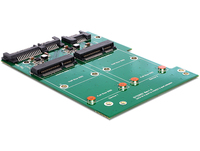 Delock Converter SATA 22 pin > mSATA - Speicher-Controller - mSATA - SATA 6Gb/s - SATA 6Gb/s
