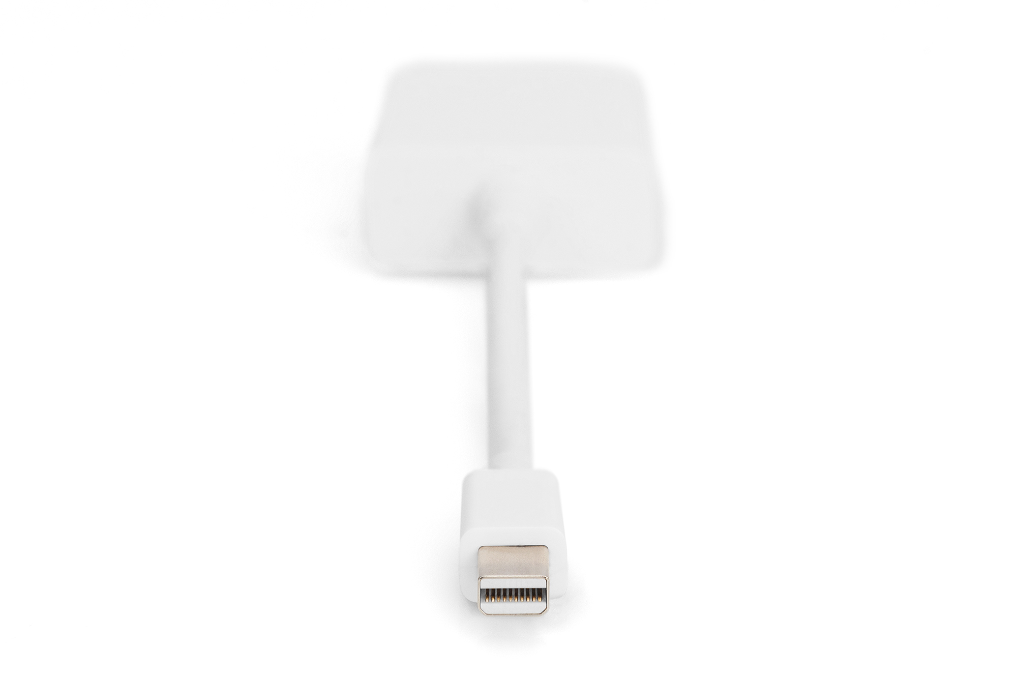 Assmann DisplayPort Adapter / Konverter, Ansicht 4