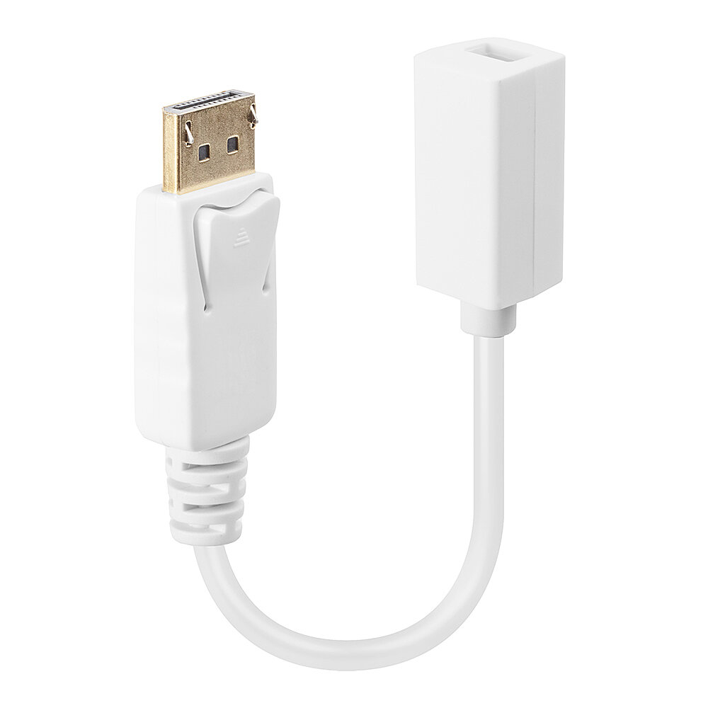Lindy DisplayPort-Adapter - DisplayPort (M) - Weiß, Ansicht 2