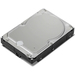 Lenovo Festplatte - 10 TB - intern - 3.5 (8.9 cm)